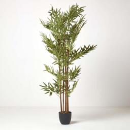 Homescapes Green 5ft Bamboo Tree Artificial Plant with Pot, 155 cm - Green (flowers), black (pot) - thumbnail 5