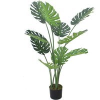 Luxury Monstera Plant Black Pot - Green