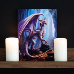 19X25Cm Treasure Trove Canvas Plaque By Anne Stokes - Purple - thumbnail 4