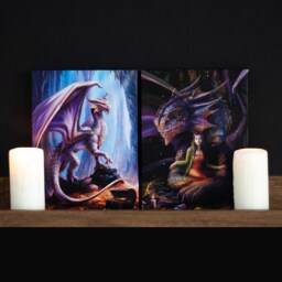 19X25Cm Treasure Trove Canvas Plaque By Anne Stokes - Purple - thumbnail 5