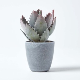 Homescapes Purple and Green Aloe Vera Artificial Succulent in Grey Pot - Green - thumbnail 4