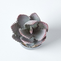 Homescapes Purple and Green Aloe Vera Artificial Succulent in Grey Pot - Green - thumbnail 5