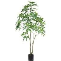 Artificial Money Tree Pachira Realistic Faux Plant - 210cm Money Tree / 210cm / 100cm