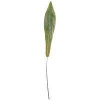 Single Plastic Bird's Nest Fern Leaf 10 Pack - Green