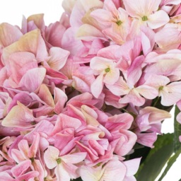 Hydrangea Bouquet The Beauty of Nature - Pink - thumbnail 2
