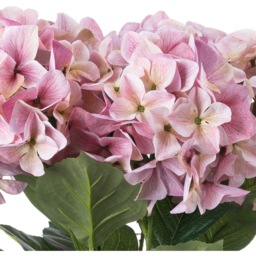 Hydrangea Bouquet The Beauty of Nature - Pink - thumbnail 3