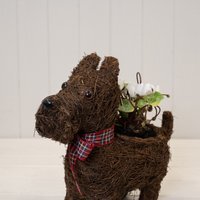 Brown Scottie Dog Planter with Tartan Ribbon - Dark Brown