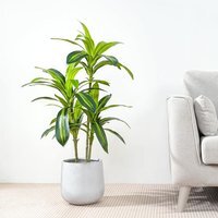 Artificial Plant Agave Tree Indoor House plant 100cm - Green