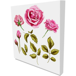 'Roses' Graphic Art on Canvas - Pink / 41cm / 31cm - thumbnail 2