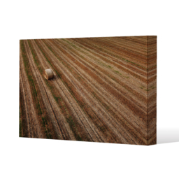 Aerial view of hay bale fields Canvas Print - Brown / 41cm / 61cm - thumbnail 2