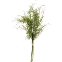 Asparagus Fern Bunch Fresh Natural Greenery - Green - image 1
