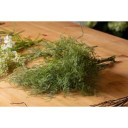 Asparagus Fern Bunch Fresh Natural Greenery - Green - thumbnail 2