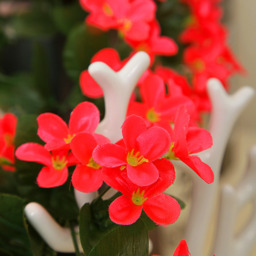 Artificial Hanging Violet - Red - thumbnail 3