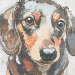 Ada Ingram Dachshund Cushion - Multicolour - thumbnail 2