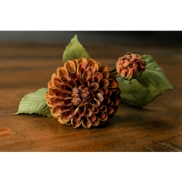 Deep Mustard Dahlia Stem Vibrant Floral - Dark Sand - thumbnail 2