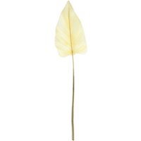 Essential Dry Look Bleached Cala Leaf 2 Pack - Light Yellow