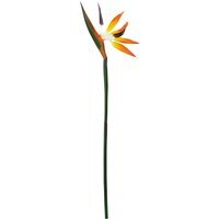 Fiori Tall Bird Of Paradise Flower Stem - Orange