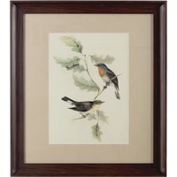 Framed Birds 1 Wall Art - Assorted