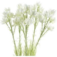 Pack of 6 x Starflower Stem - 30 Flowers - 6 x 60cm White Starflower