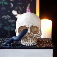 Haunting Skull Ornament with Serpent Unique for Home - White