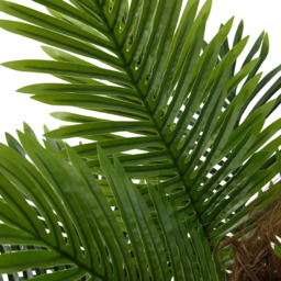 Potted Artificial Palm Tree - Green / 120cm - thumbnail 3