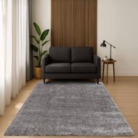 Soft Sumptuous Rug - Silver / 170cm - image 1