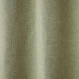 Cosmos Eyelet Curtains - Green / 168cm / 229cm - thumbnail 3