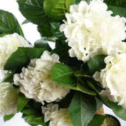 Luxury Flowering Artificial Trees - 75cm White Hydrangea / 75cm / 50cm - thumbnail 2