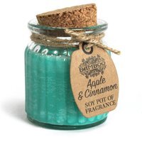 Apple Cinnamon Soy Candle Pot Long Lasting Eco Friendly Fragrance - Teal