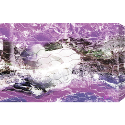 Flower Chicken Graphic Art Wrapped on Canvas - Pink / 152cm - thumbnail 2