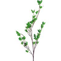 Mini Leaf Ficus Stem - Mini Ficus Leaf Stem