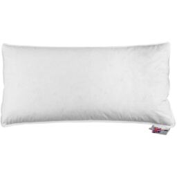 Homescapes Duck Feather and Down Euro Pillow - White - thumbnail 3