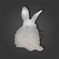 Rabbit Style 8 Silver Acrylic Mirror - Silver / 50cm / Engraved - image 1