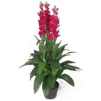 Artificial Cymbidium Orchid Plant - Extra Large - Pink