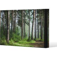 Beautiful summer forest with different trees Canvas Print - Green / 91cm / 61cm - image 1