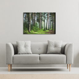 Beautiful summer forest with different trees Canvas Print - Green / 91cm / 61cm - thumbnail 2