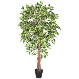 Homescapes Variegated Green Ficus Tree Artificial Plant with Twisted Trunk, 6 Ft - Green - thumbnail 2
