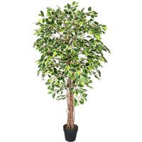 Homescapes Variegated Green Ficus Tree Artificial Plant with Twisted Trunk, 6 Ft - Green - thumbnail 1