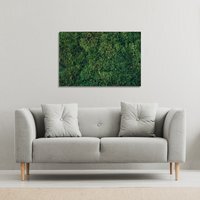 Natural green moss Canvas Print - Green / 101cm / 127cm - thumbnail 1