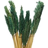 Vibrant Cantal Grass Bunch Sustainable Dried Floral Decor - Teal