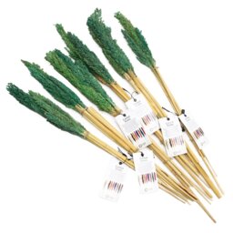 Vibrant Cantal Grass Bunch Sustainable Dried Floral Decor - Teal - thumbnail 4