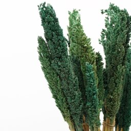 Vibrant Cantal Grass Bunch Sustainable Dried Floral Decor - Teal - thumbnail 2