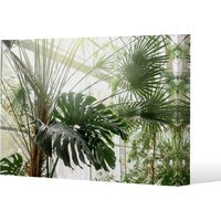 Green plants in botanical garde Canvas Print - Green / 51cm / 77cm - image 1