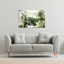 Green plants in botanical garde Canvas Print - Green / 51cm / 77cm - thumbnail 2