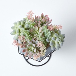 Homescapes Artificial Cactus and Succulent Arrangement in Geometric Pot - Green - thumbnail 4