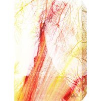 French Fury Graphic Art Wrapped on Canvas - Yellow / 92cm - image 1