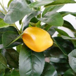Leaf Design UK Artificial Lemon Tree Plant Black Plastic Pot - 120cm Premium Lemon Tree / 45cm - thumbnail 3