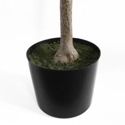 Leaf Design UK Artificial Lemon Tree Plant Black Plastic Pot - 120cm Premium Lemon Tree / 45cm - thumbnail 5