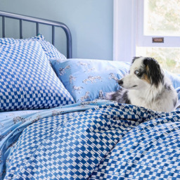 Martex Petite Painted Check Duvet Cover Set - Blue / King - thumbnail 5
