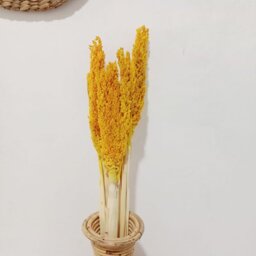 Vibrant Cantal Grass Bunch - Yellow - thumbnail 4